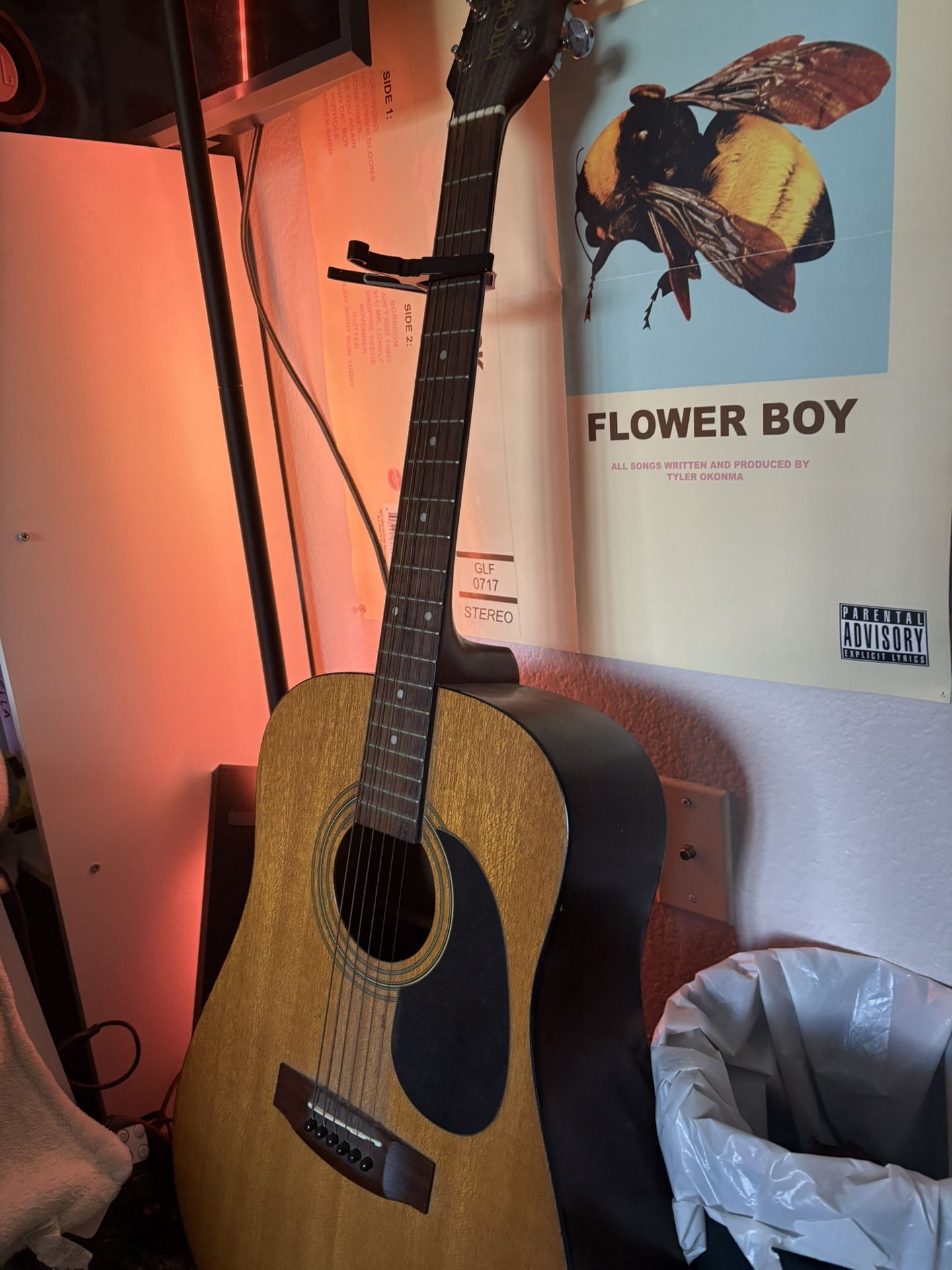 Mitchell Guitar MD-50 + Capo