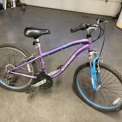 Schwinn Atlas 