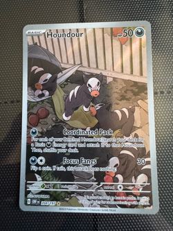 Houndour 204/197