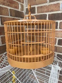 Little Bird cage