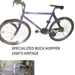 Vintage Rock Hopper