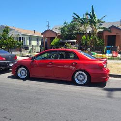 Salvaje 