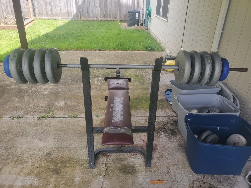 Bench and Assorted Weights.