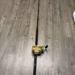 Deep Sea Fishing Reel And Pole 