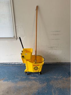 Mop bucket, wringer, mor handle and mop head.