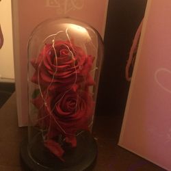 Galaxy Rosese In Dome Are Back! Many IColors At The Moment $20