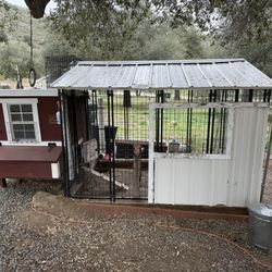 Chicken coop And Run