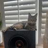sam