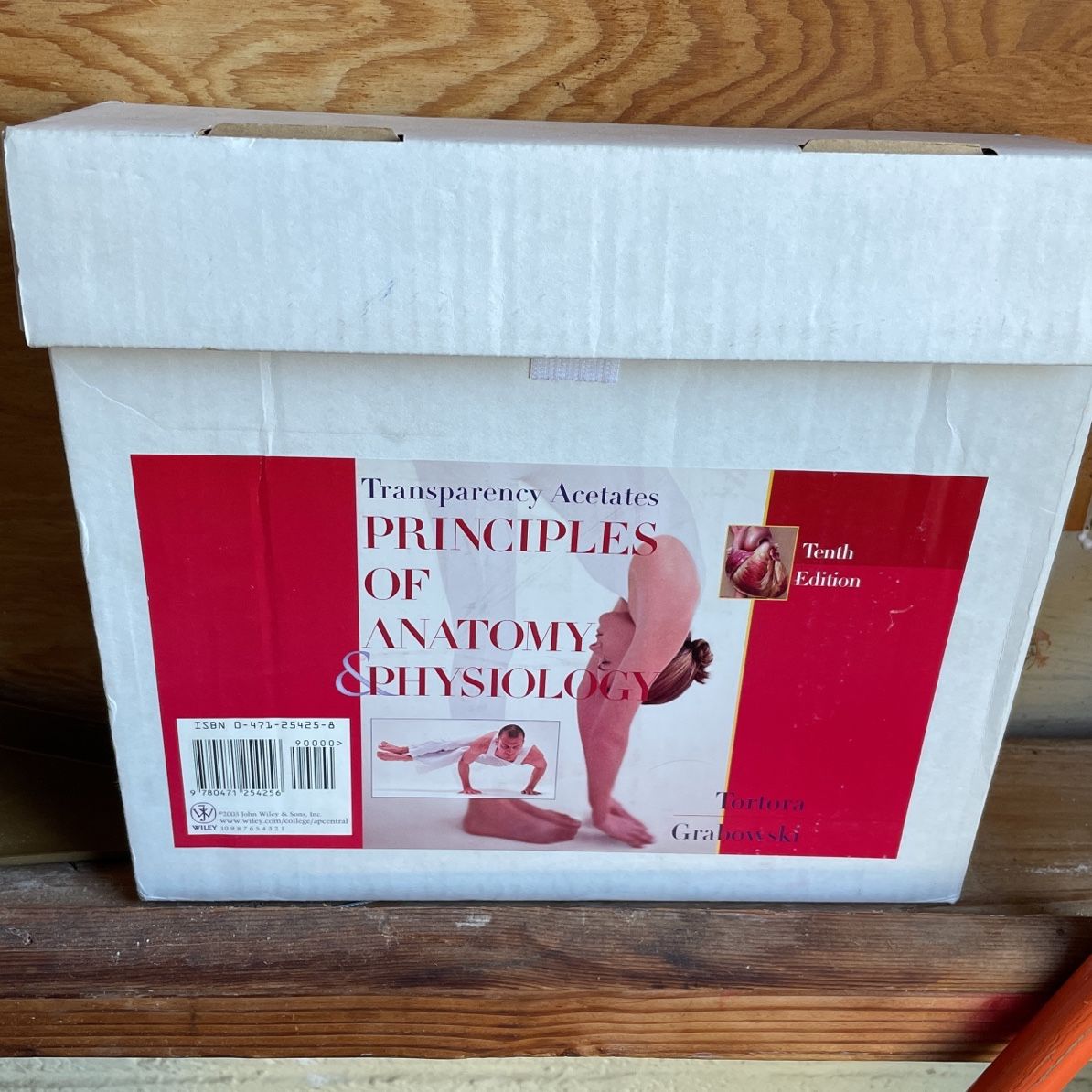 Principles Of Anatomy