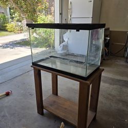 Reptile Tank And Stand.  Includes Secure Cover