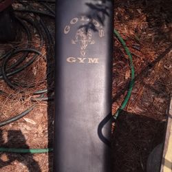 Gold's Gym Workout Bench 