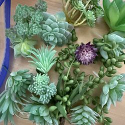 Faux Succulents 