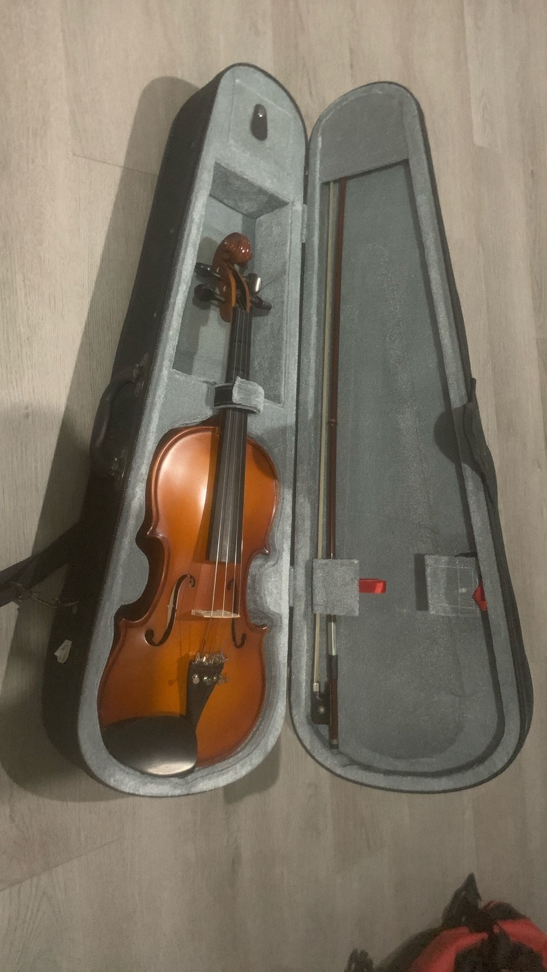 Violin