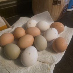 Eggs, Dozen Eggs, Washed And Unwashed