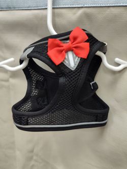 Small dog Harness with Red Bow, leash and glasses
