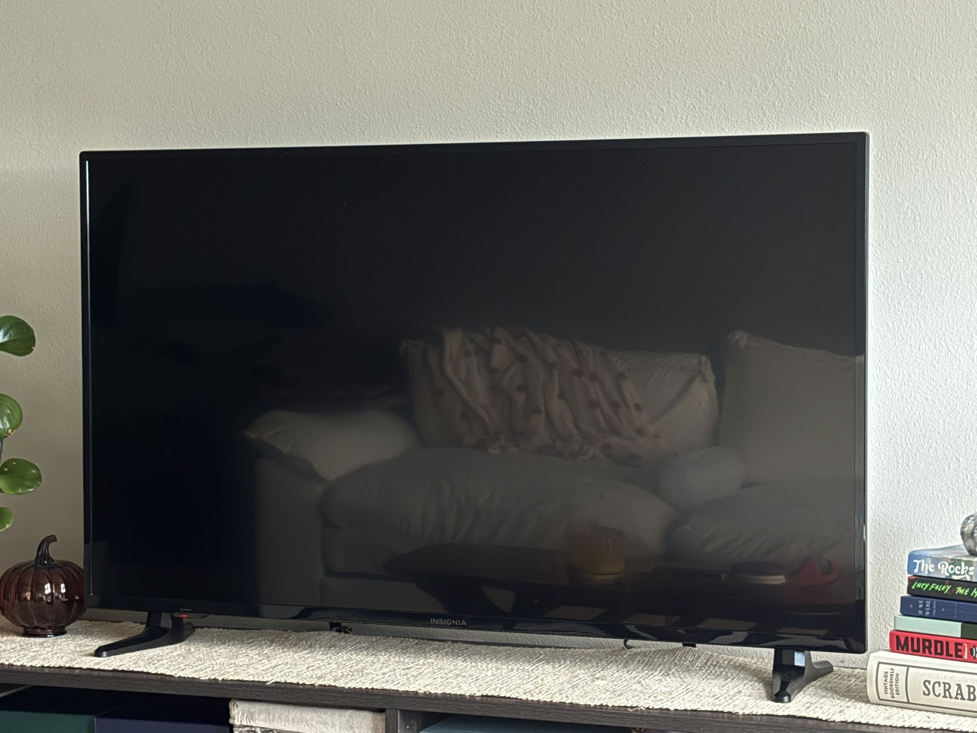 50 Inch Insignia 4k TV