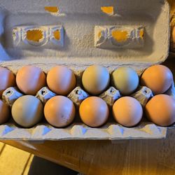 Fresh Chicken Eggs