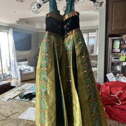 Disney Costume