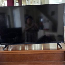 VIZIO TV w/ remote.
