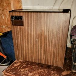 Electric Mini Fridge 