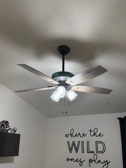 Hunter Ceiling Fans