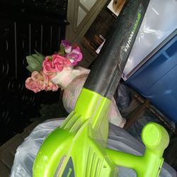 GreenWorks Leaf Blower