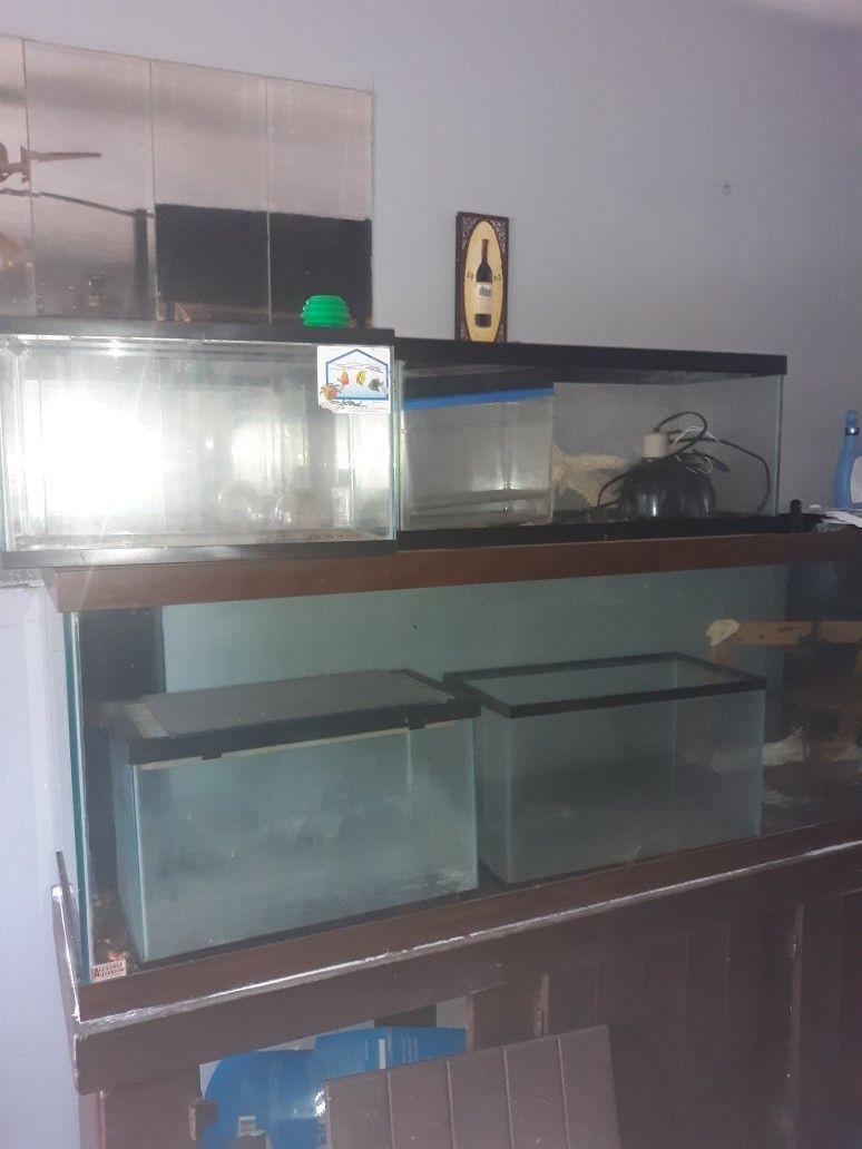 Fish Tank For Sale