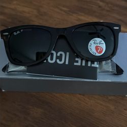 Ray-Ban Polarized Wayfarer Glasses 
