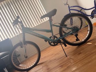 Women’s bicycle