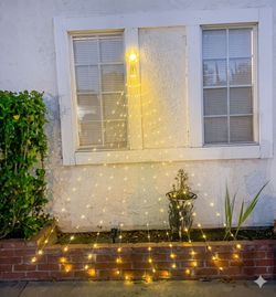14-Set Holiday Lighting Mega Bundle + Clips