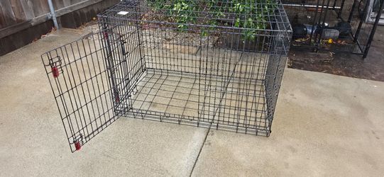 Large Black Wire Dog Crate