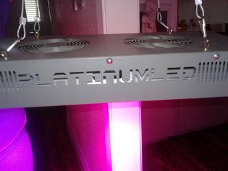 Platinum LED 300w Grow Light
