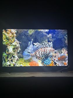 28 by 23 inch Vizio tv