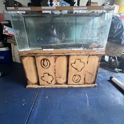 Fish Aquarium & Stand  