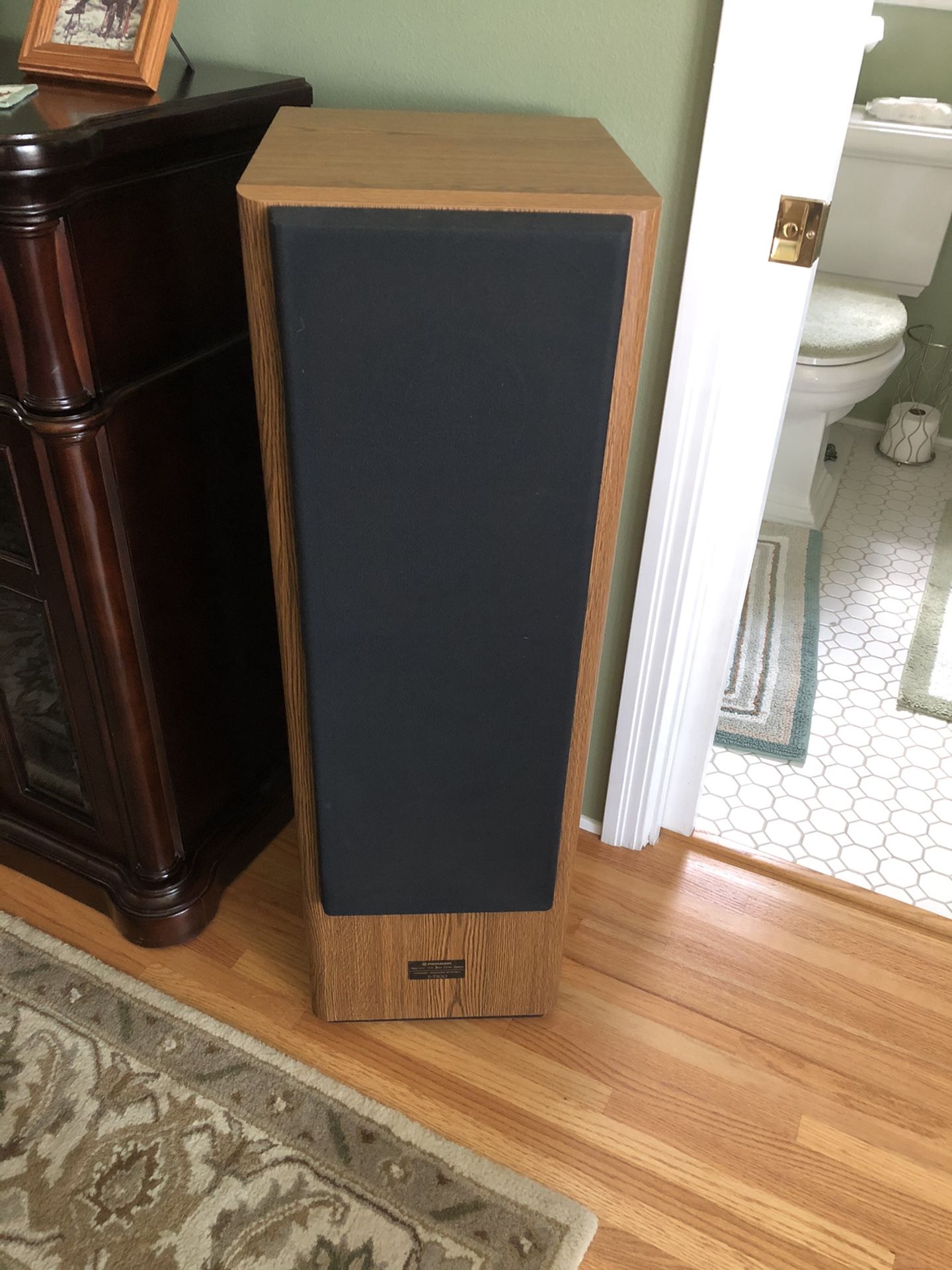 Pioneer Vintage Tower Speakers S-T500