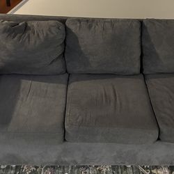 FREE 3 Seater Gray Couch