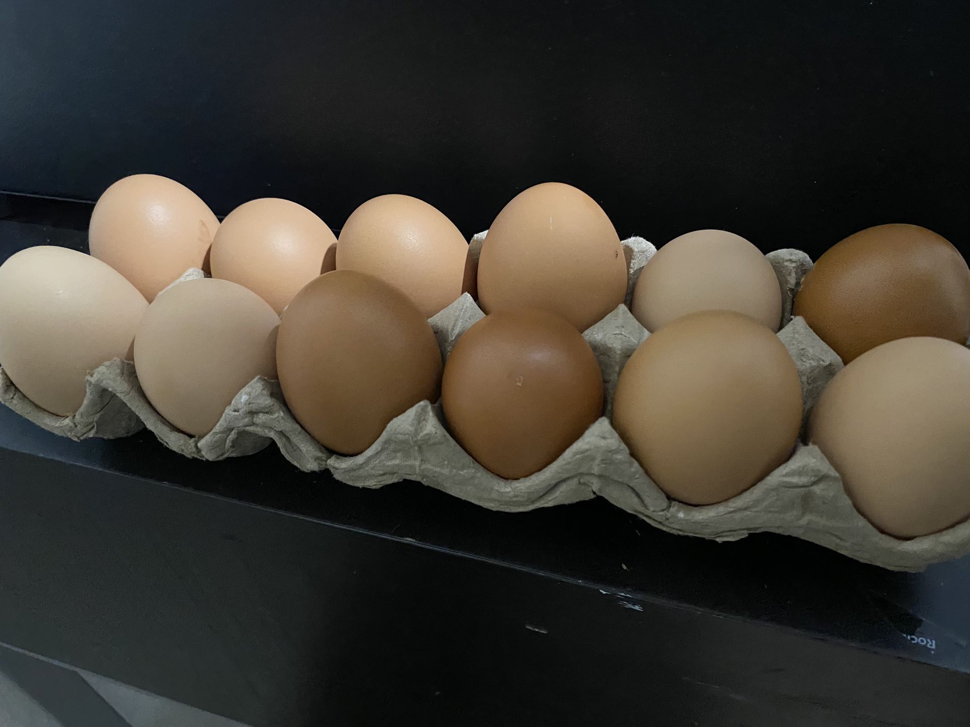 Dozen Fresh Organic Eggs!