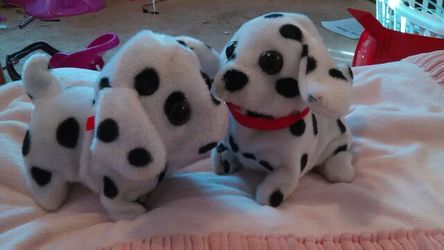 Barking and walking pups