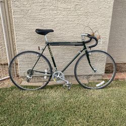Schwinn Voyageur Bicycle 