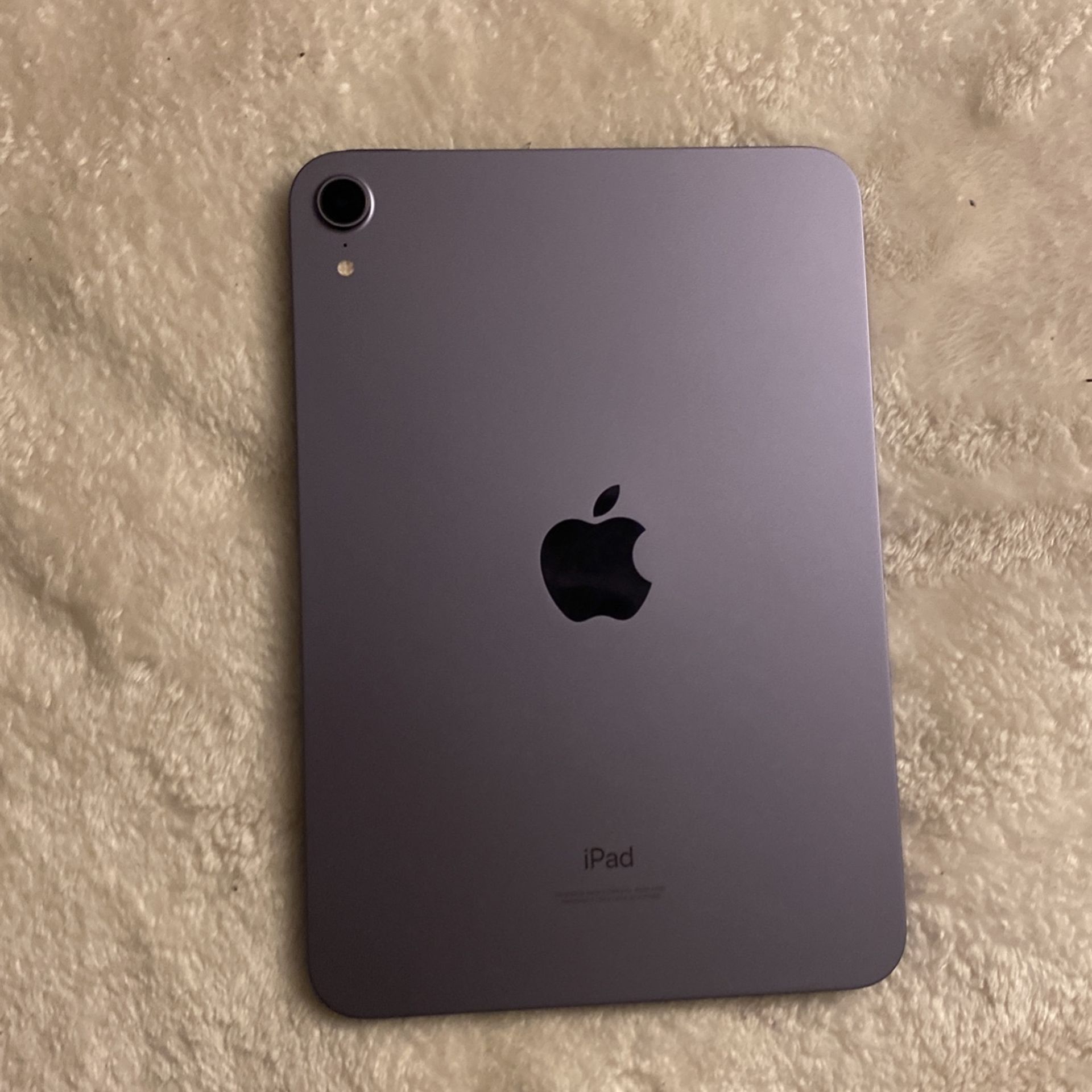 iPad Mini 