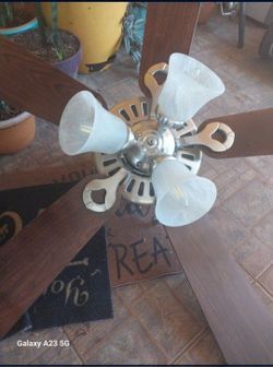 Ceiling Fan 