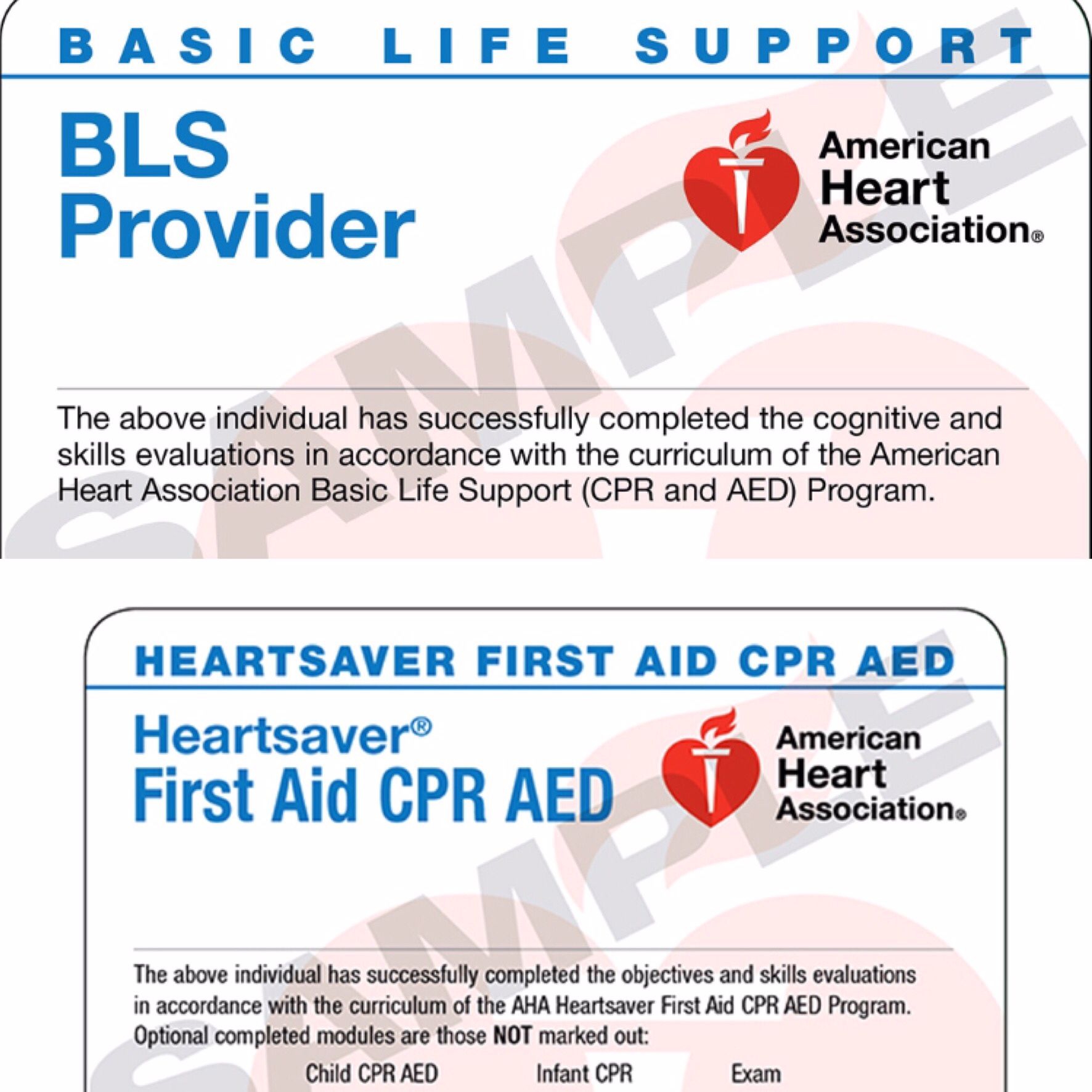 Same day ecard CPR Certificate
