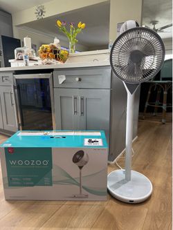 Woozoo fan 360