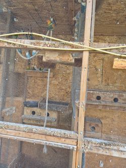 Cage