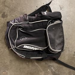 Softball Bag