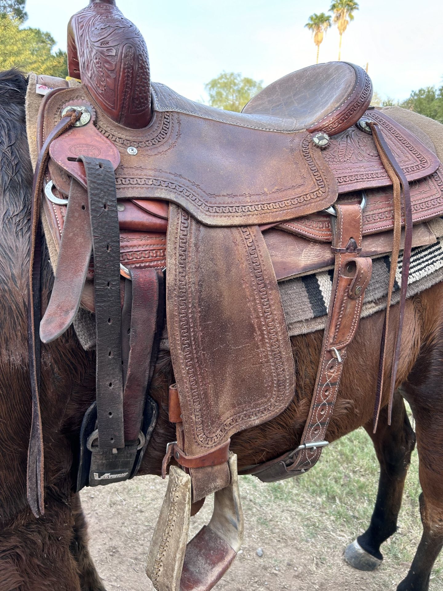 Horse Saddle