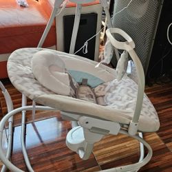 Ingenuity Baby Swing 