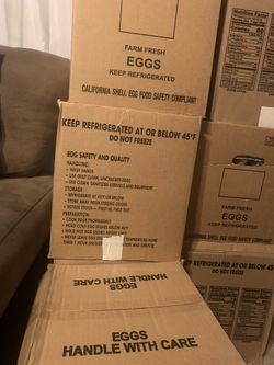 Food , comida. Eggs , huevos