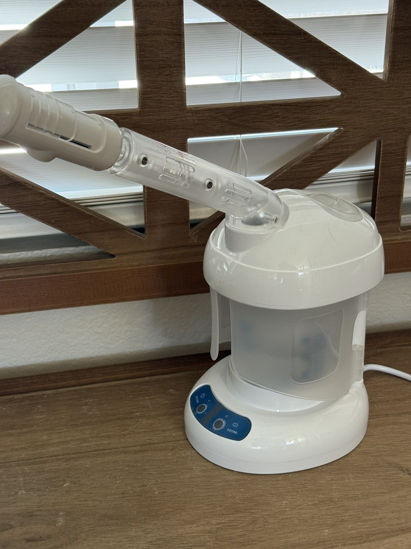 Facial Steamer