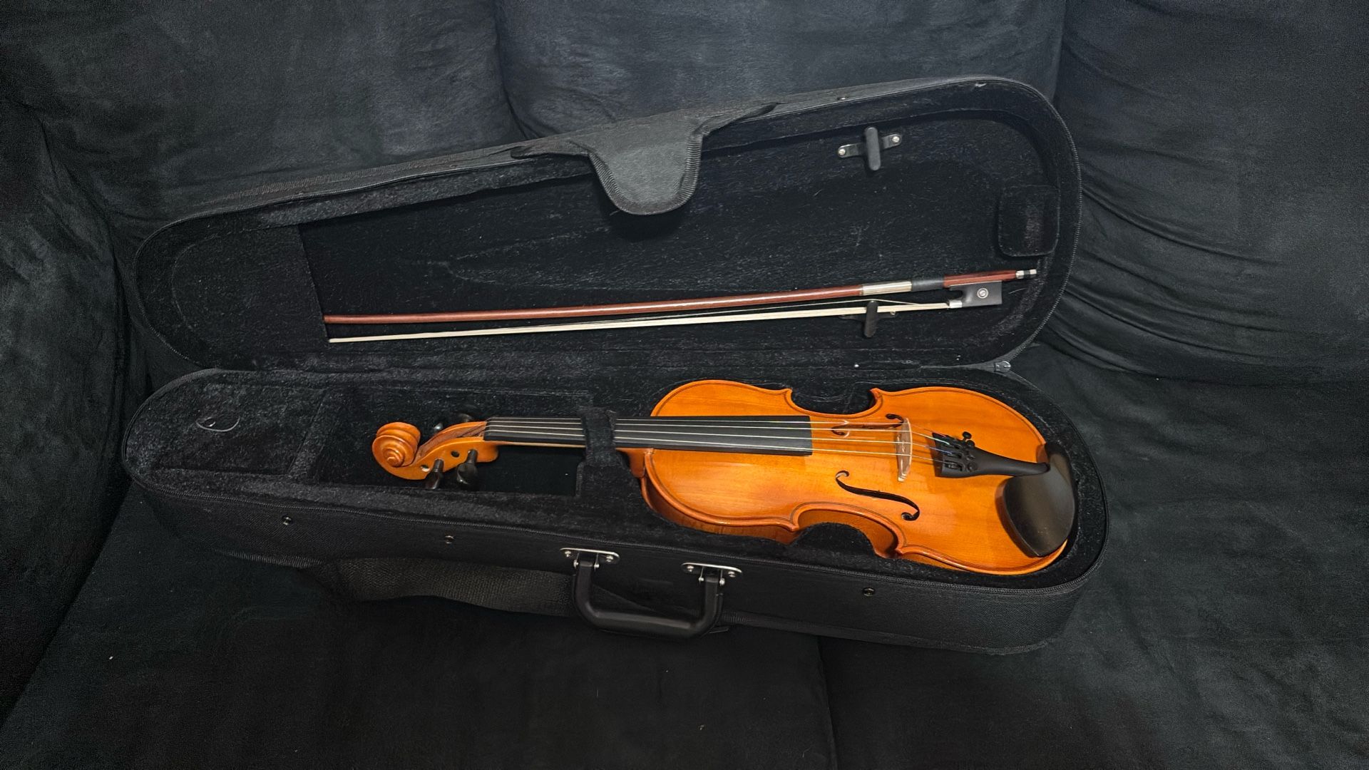 Violin
